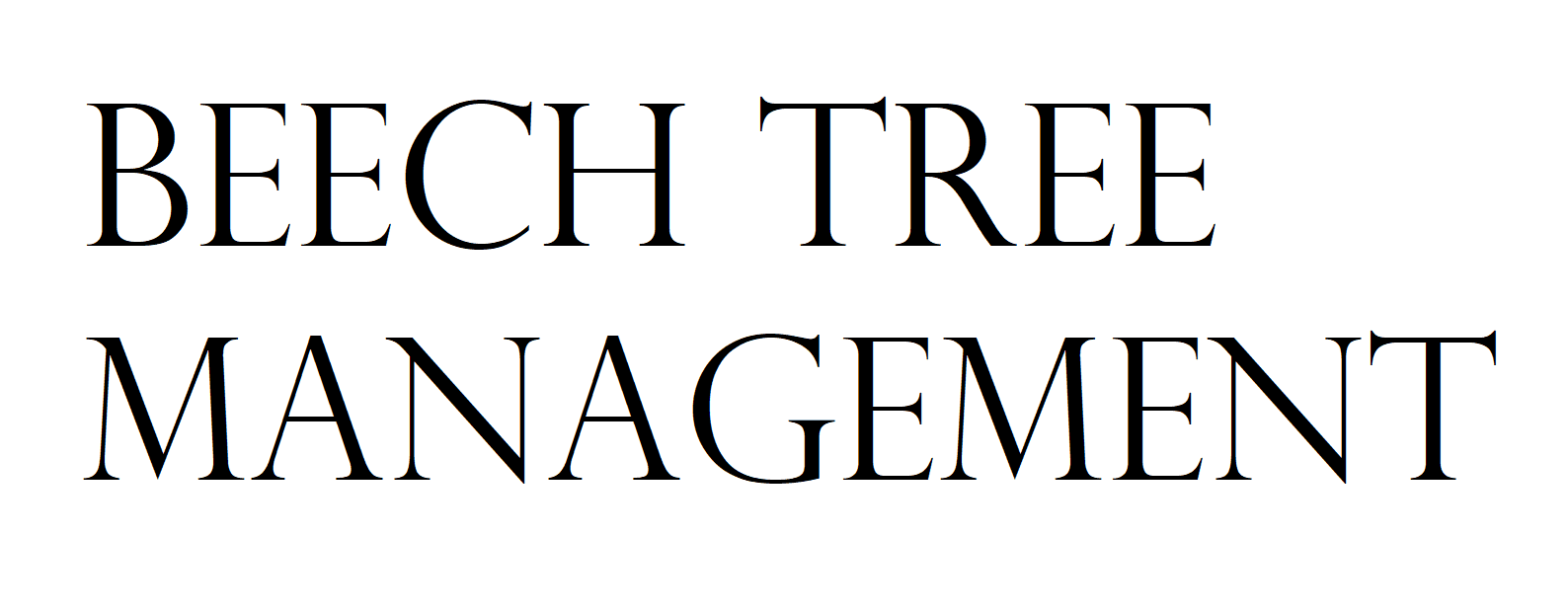 Beech Tree Management Logo