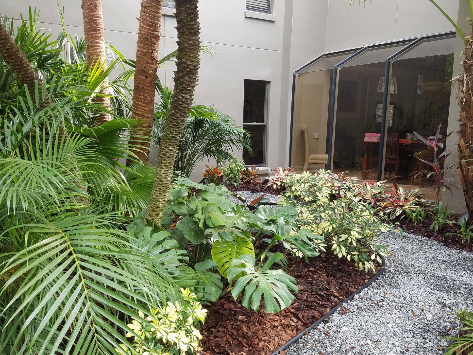 Lush tropical courtyard with diverse green plants, dark mulch, and a pebble walkway leading to a screened-in area.