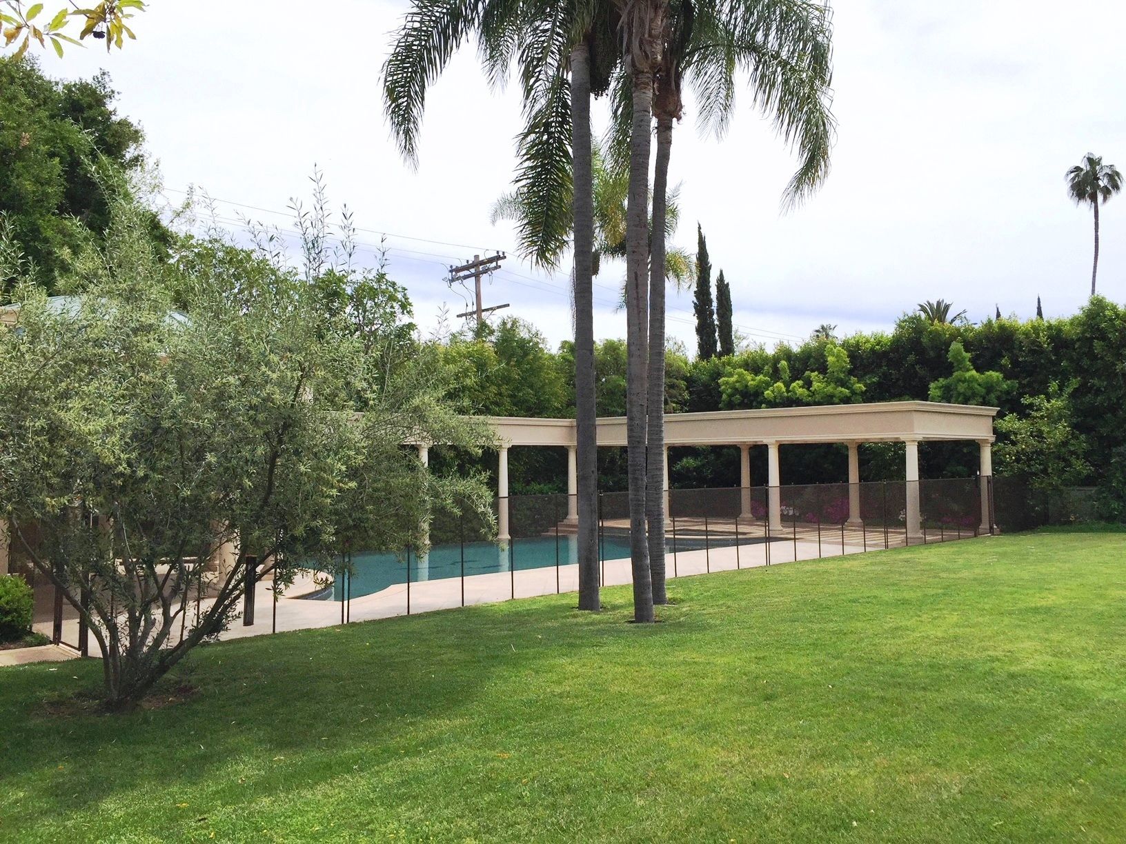 Green lawn with a pool and a covered structure. Palm trees and a tree with green leaves in the foreground.