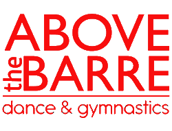 Above the barre open gym sale