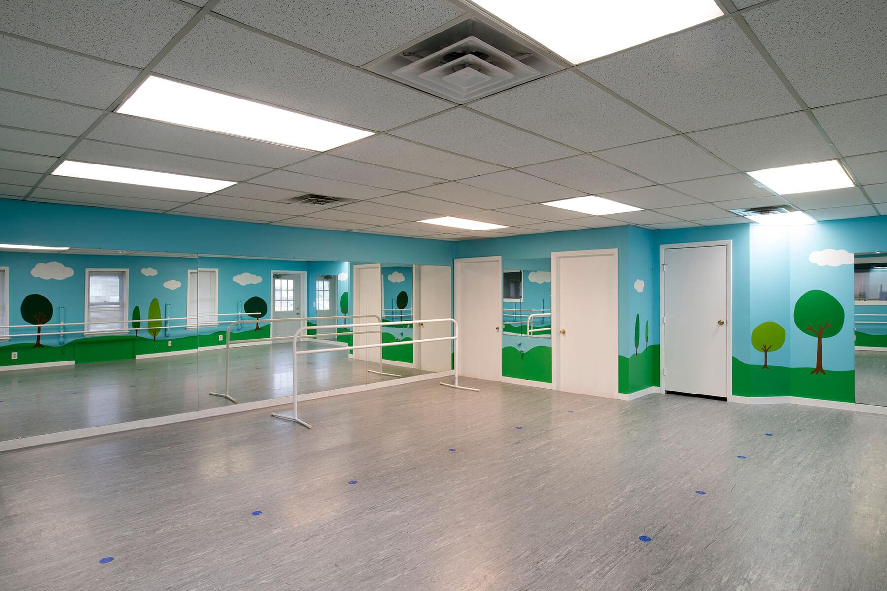 Dance studio with light blue walls, green landscape mural, mirrors, ballet barres, and white doors.