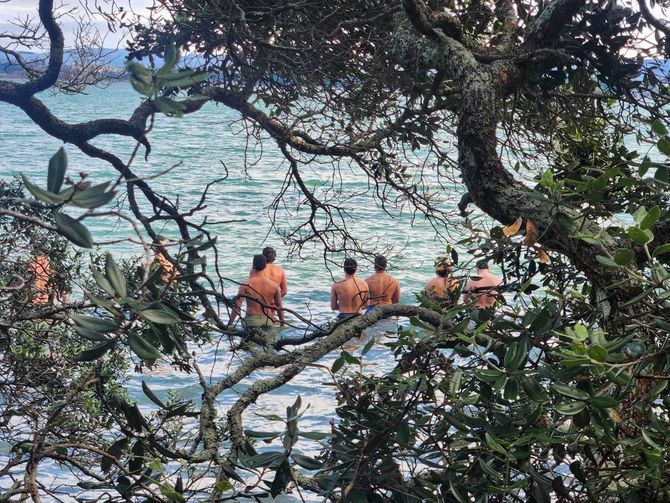 A group of people are sitting on a tree branch overlooking the ocean.