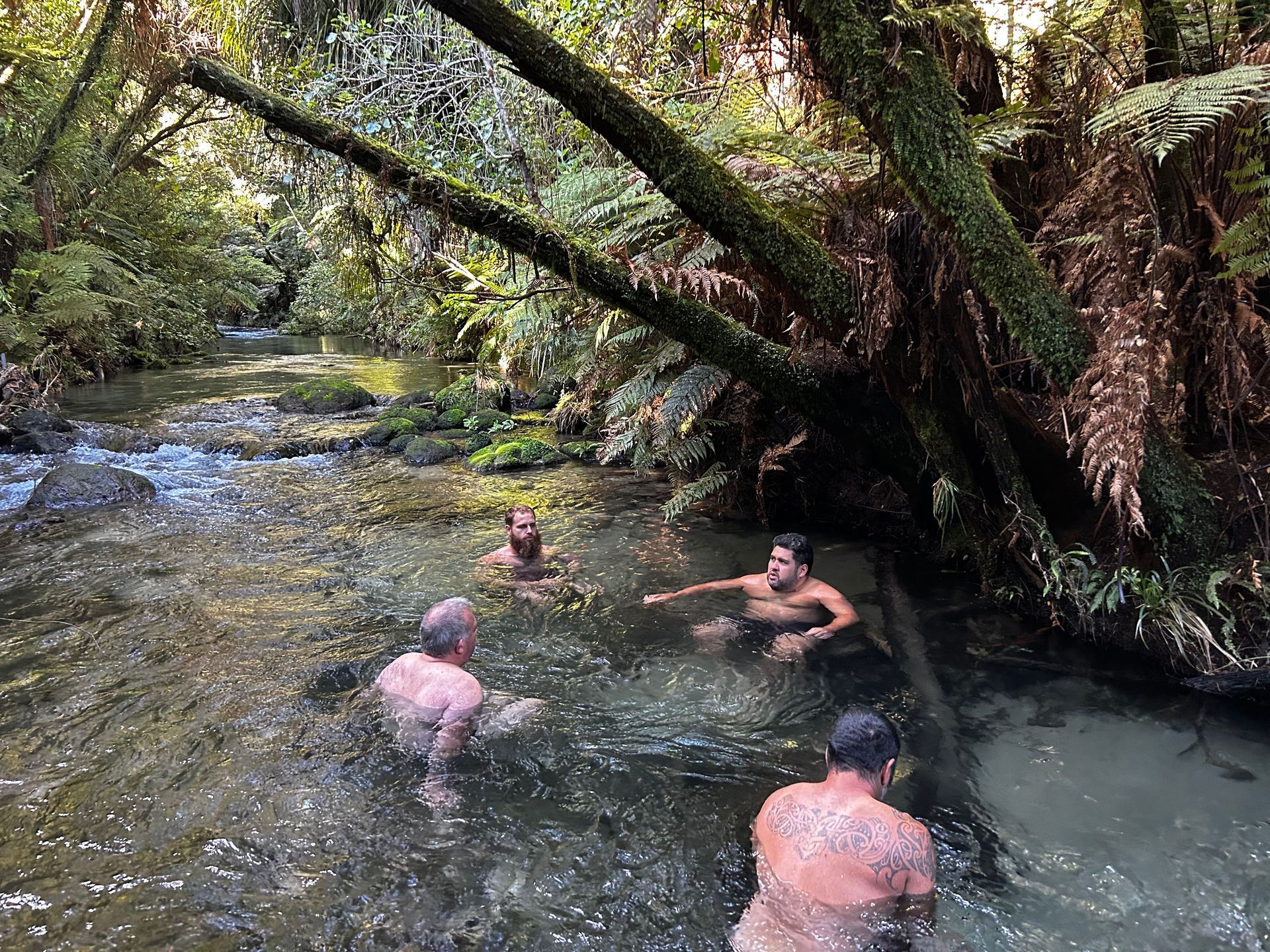 A group of people are swimming in a stream in the woods.