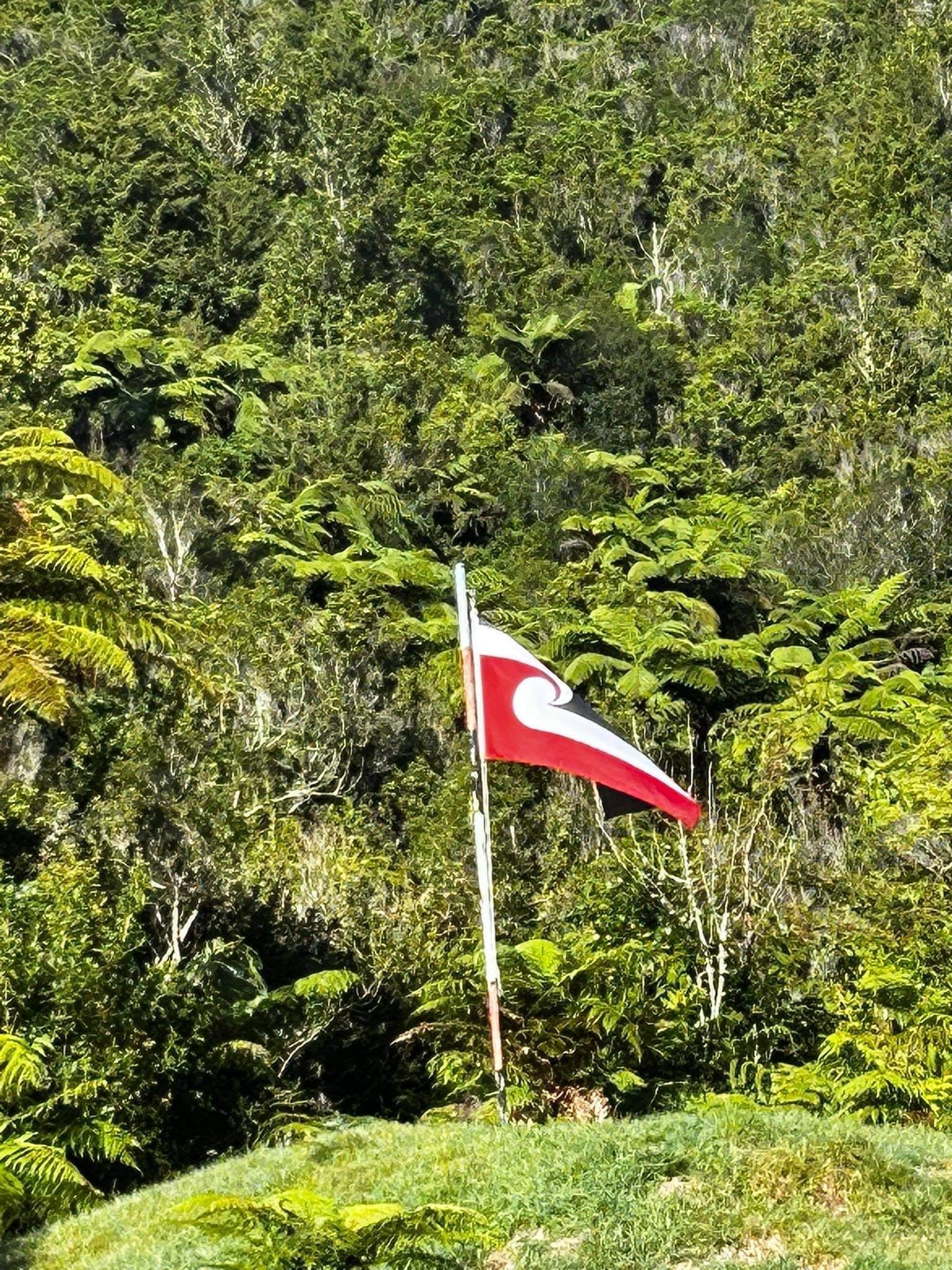 A red and white flag is flying in front of a forest.