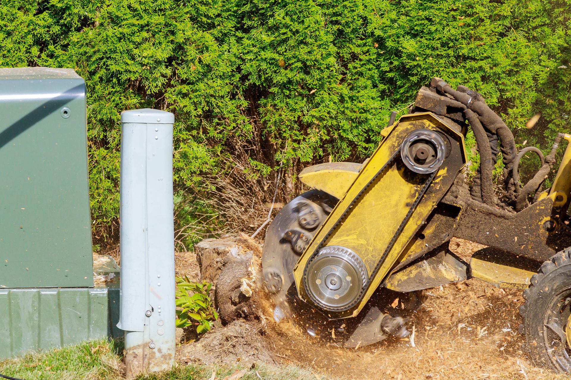 A yellow tractor is stump grinding a tree stump in a yard.