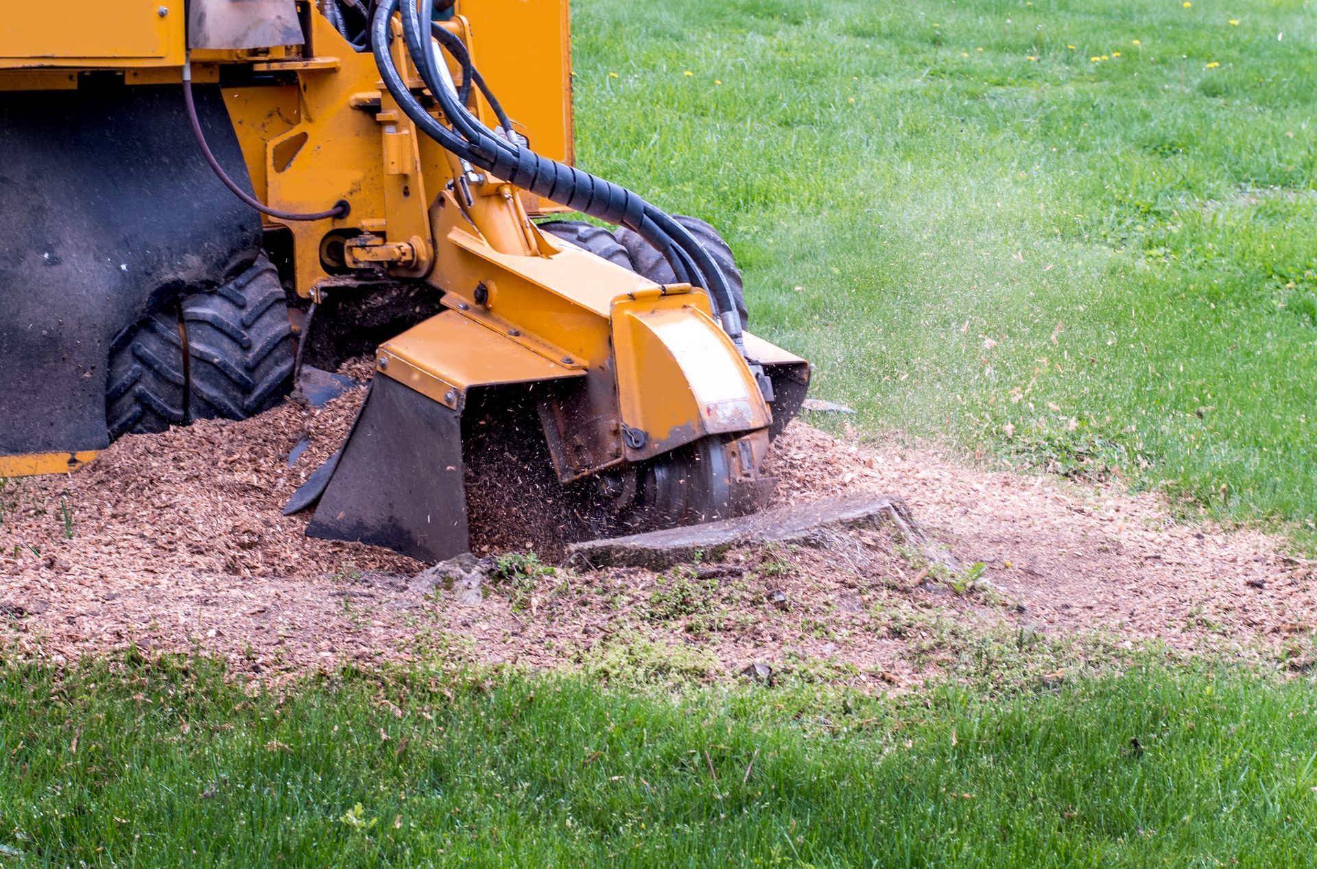 A yellow stump grinder is grinding a tree stump in a lush green field.