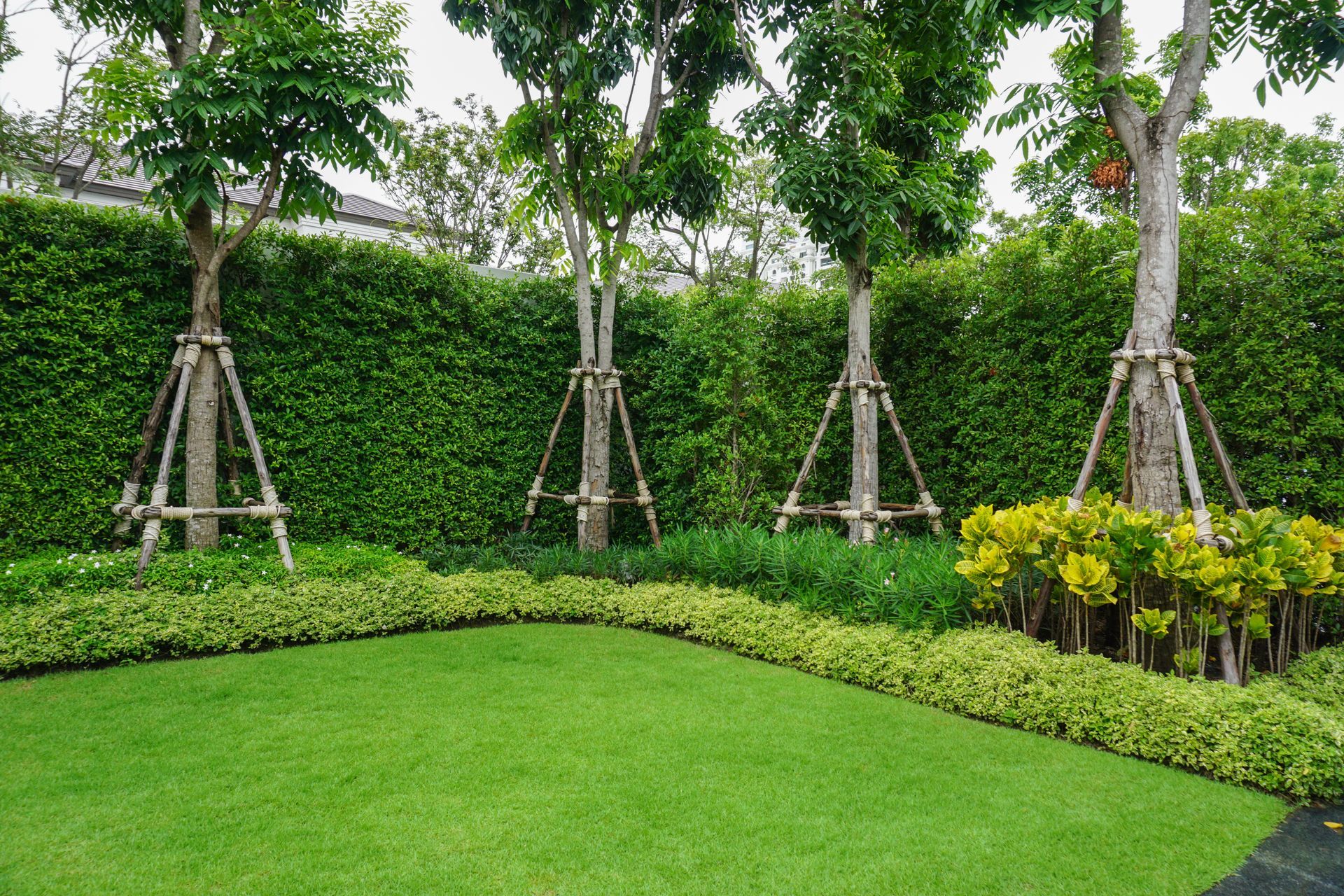 A lush green garden with trees and bushes and a lush green lawn.