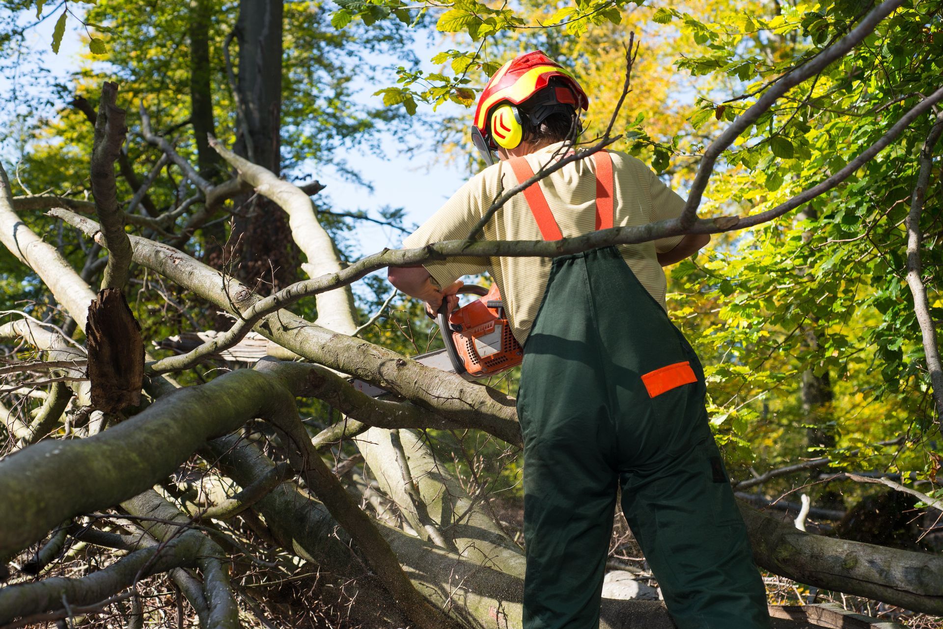 A man wearing overalls and a helmet is cutting a tree branch with a chainsaw.