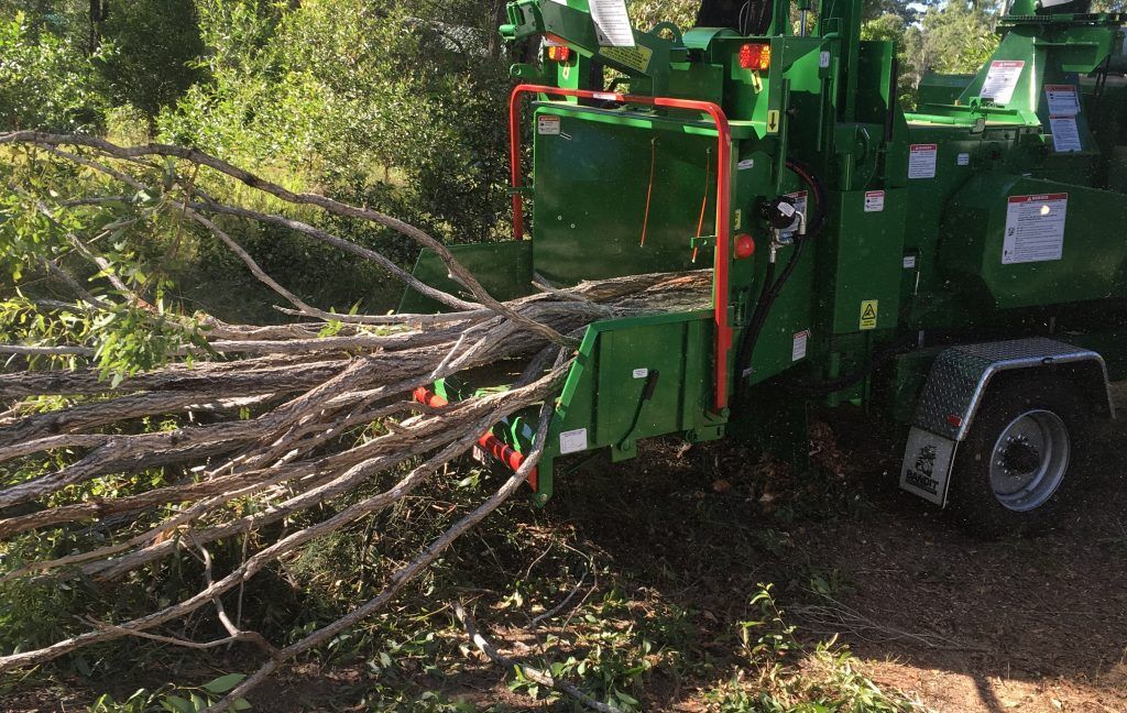 A green tree chipper is cutting down a tree in the woods.