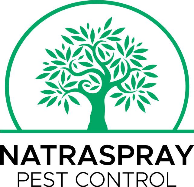 Pest Control Services On The Tweed Coast & Valley Regions
