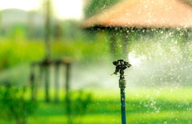 A sprinkler is spraying water on a lush green field.