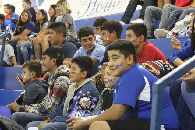 a group of young people are sitting in a stadium watching a game .