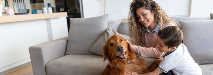 mom and son sitting on a couch in their home petting a golden retriever