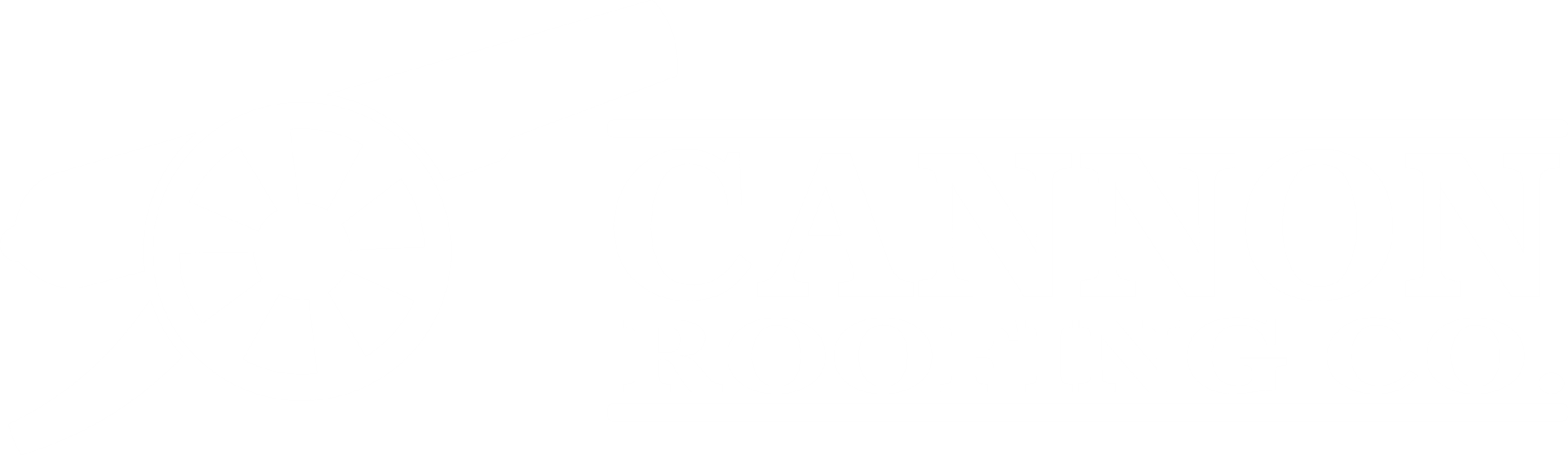 cannon roofing logo