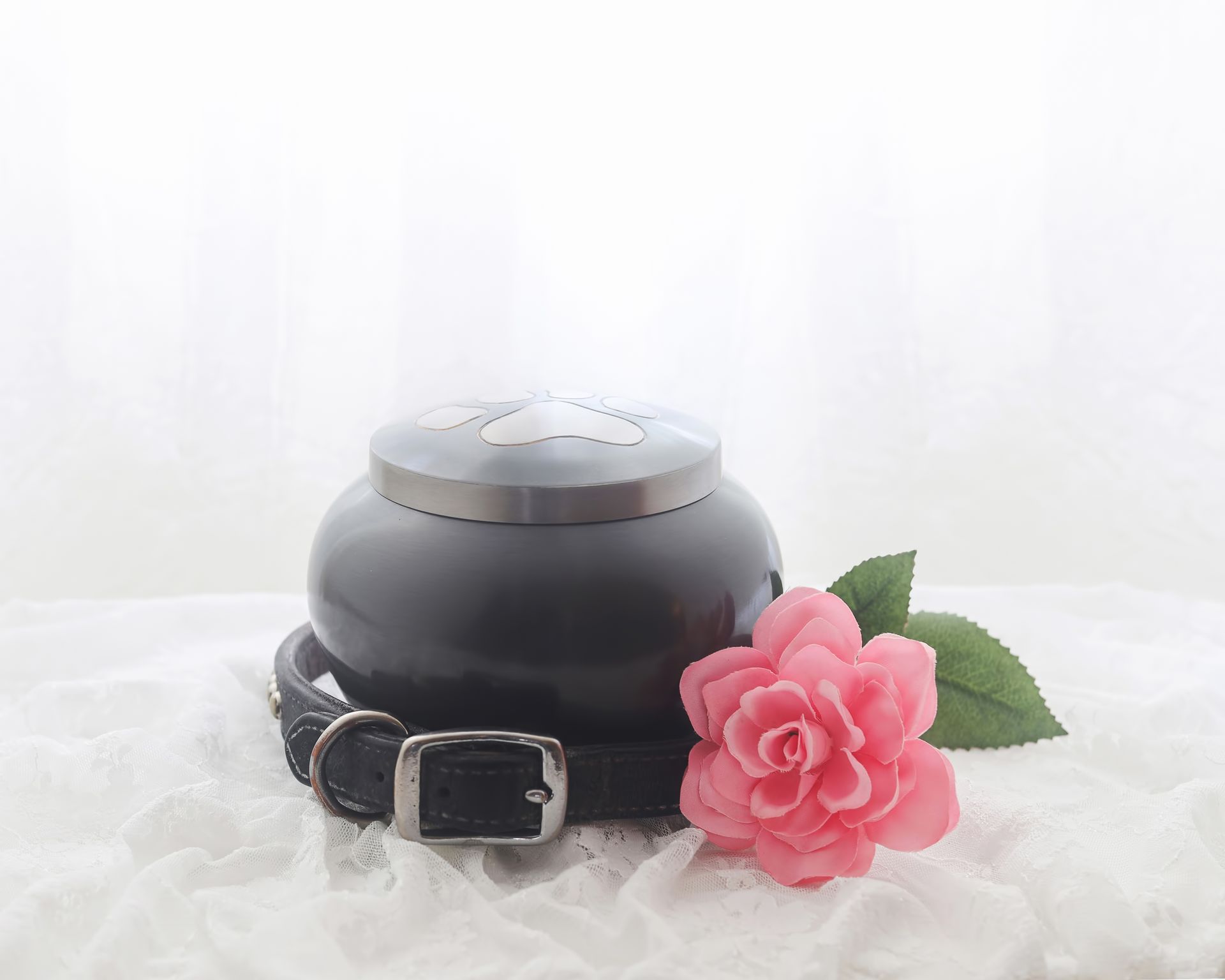 Black pet cremation urn with collar and pink rose.