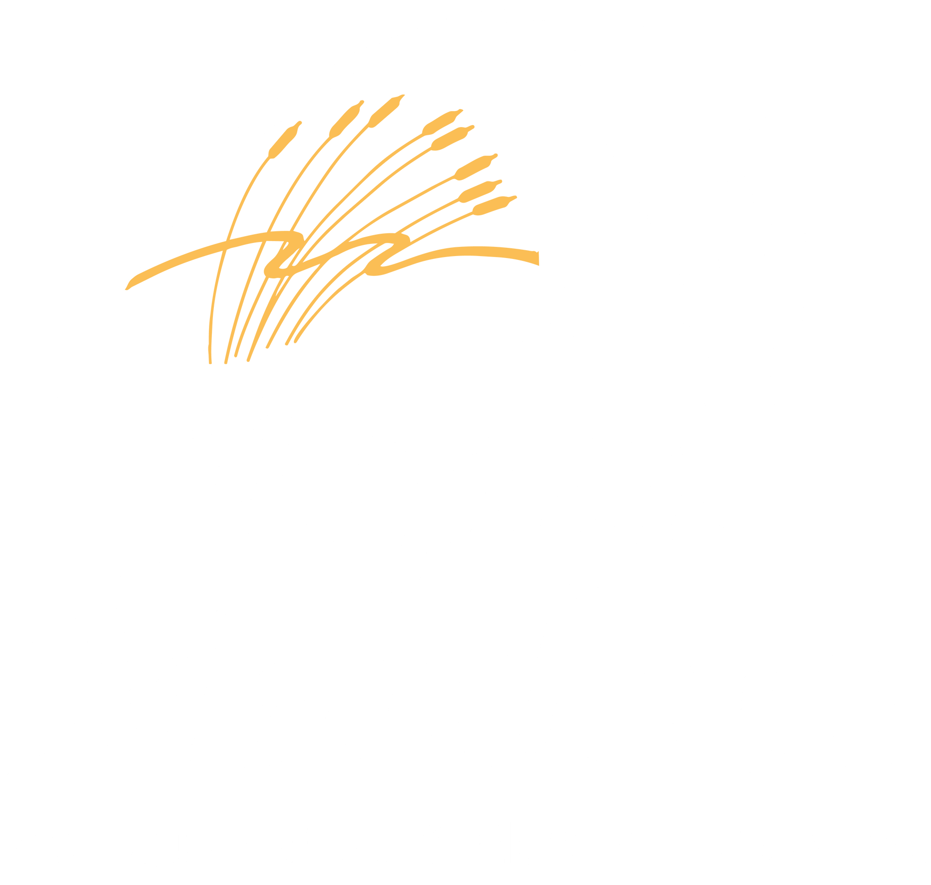 Aspen Meadows logo in white