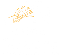 Aspen Meadows logo in white