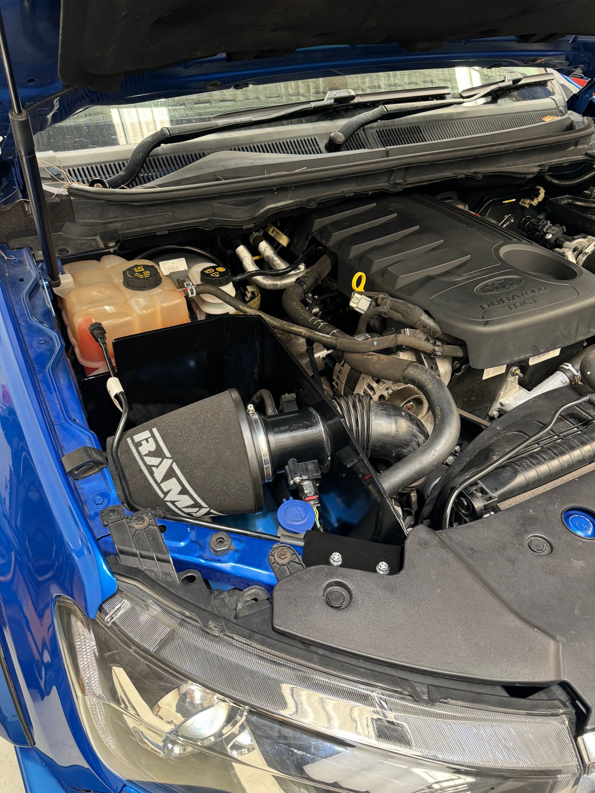 The engine of a blue car with the hood open.  - HO Performance in Cleveland, QLD
