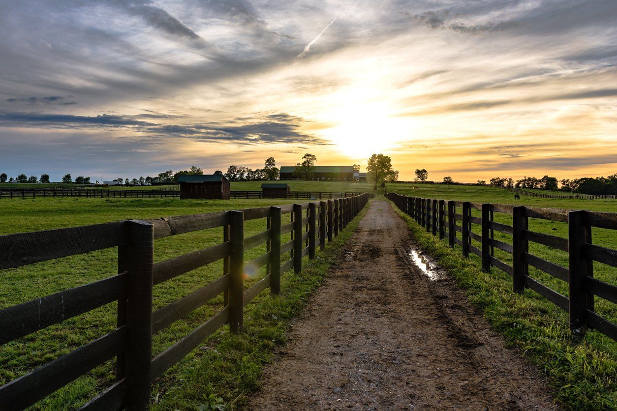 a dirt road going through a fenced in field at sunset