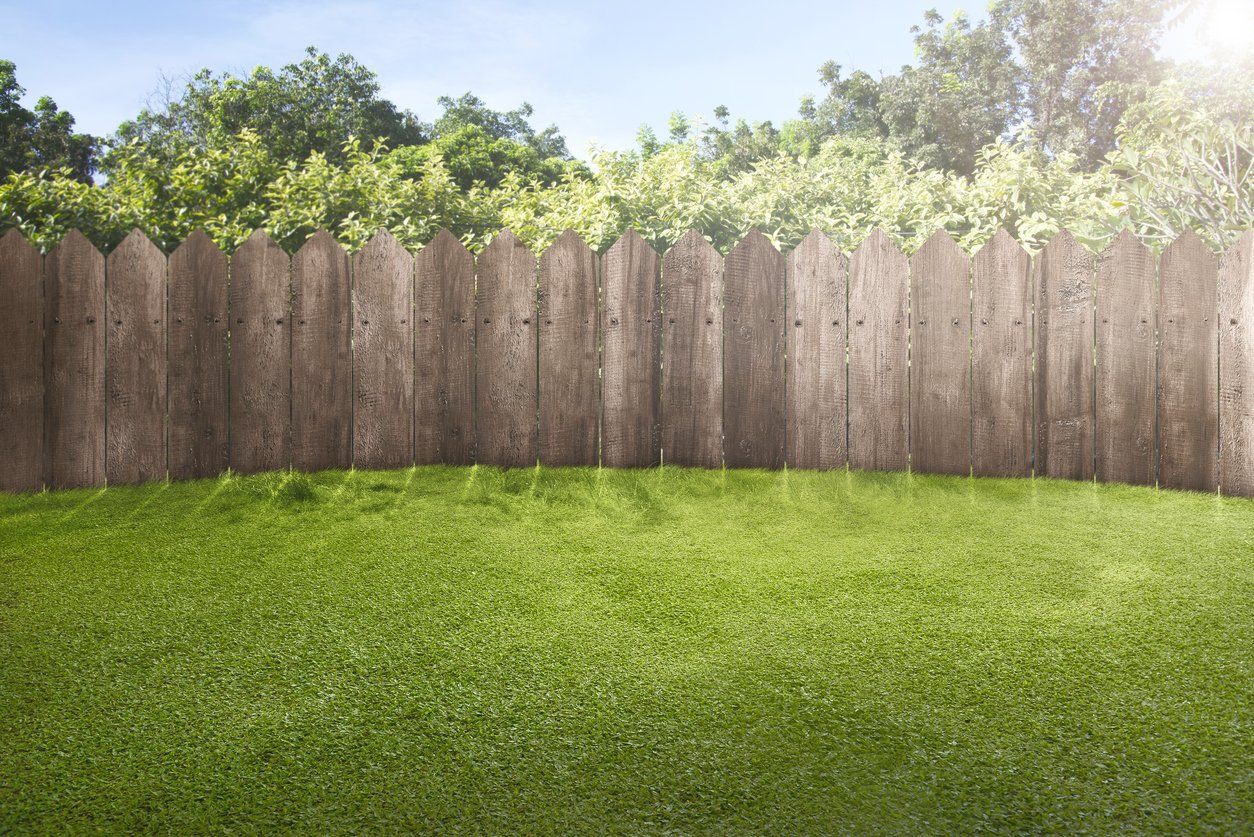 a wooden fence surrounds a lush green lawn in a backyard .