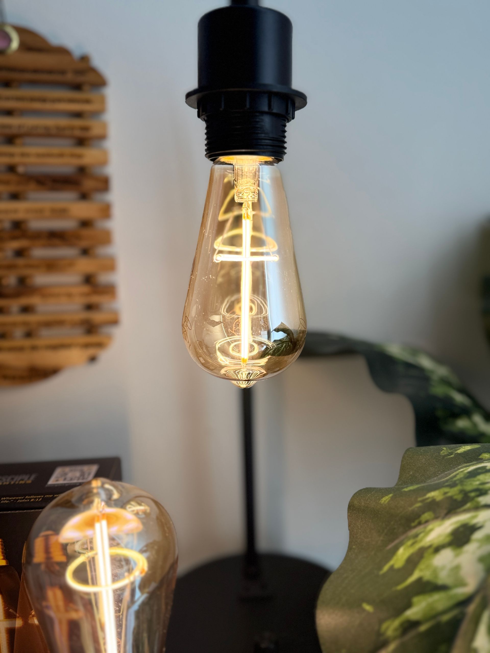 Edison bulb in a black lamp fixture, lit.  Other bulbs and plants visible in the background.