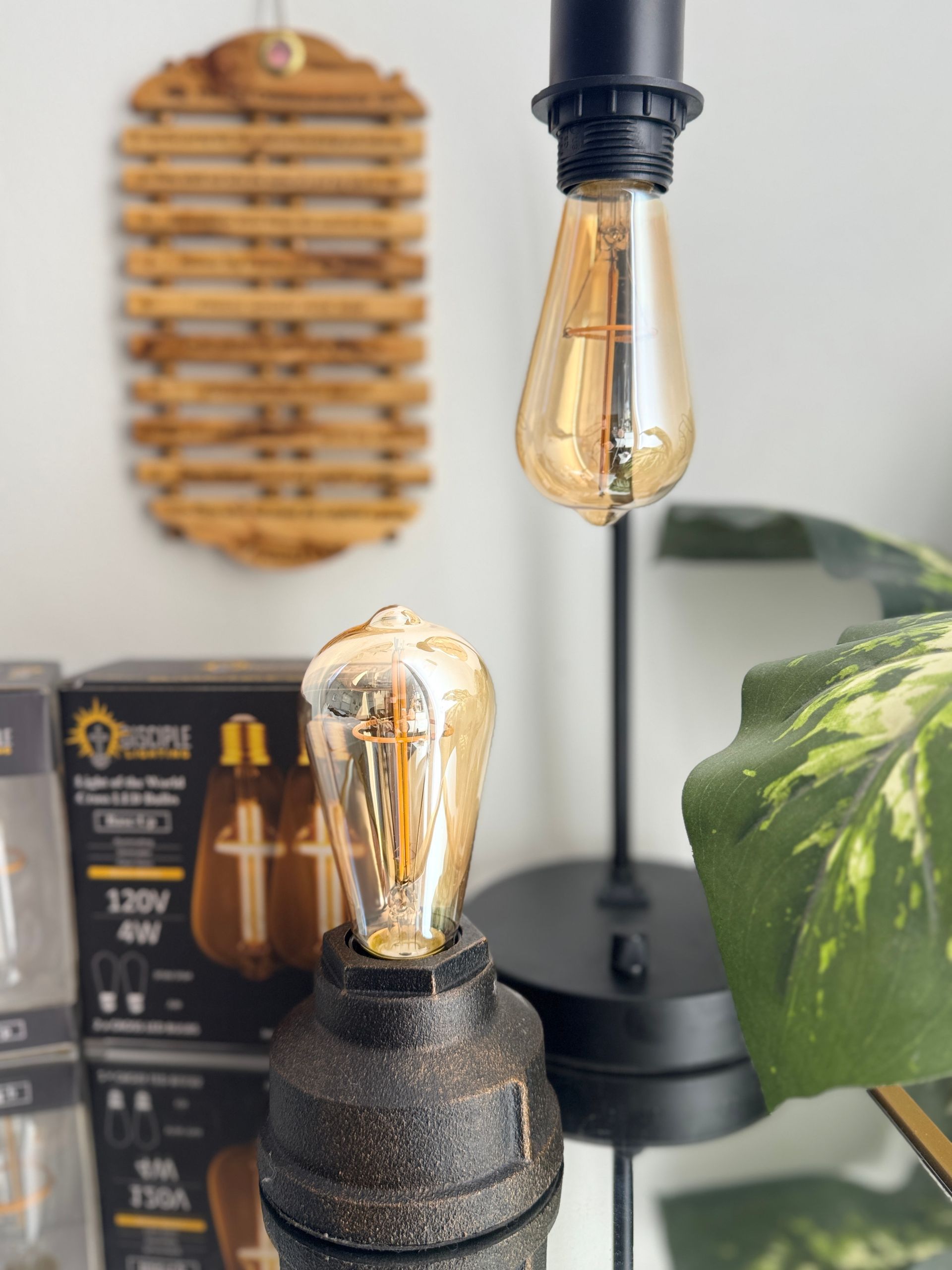 Black table lamp with Edison bulb; another bulb on a black pipe base; box; woven wall decor; houseplant.