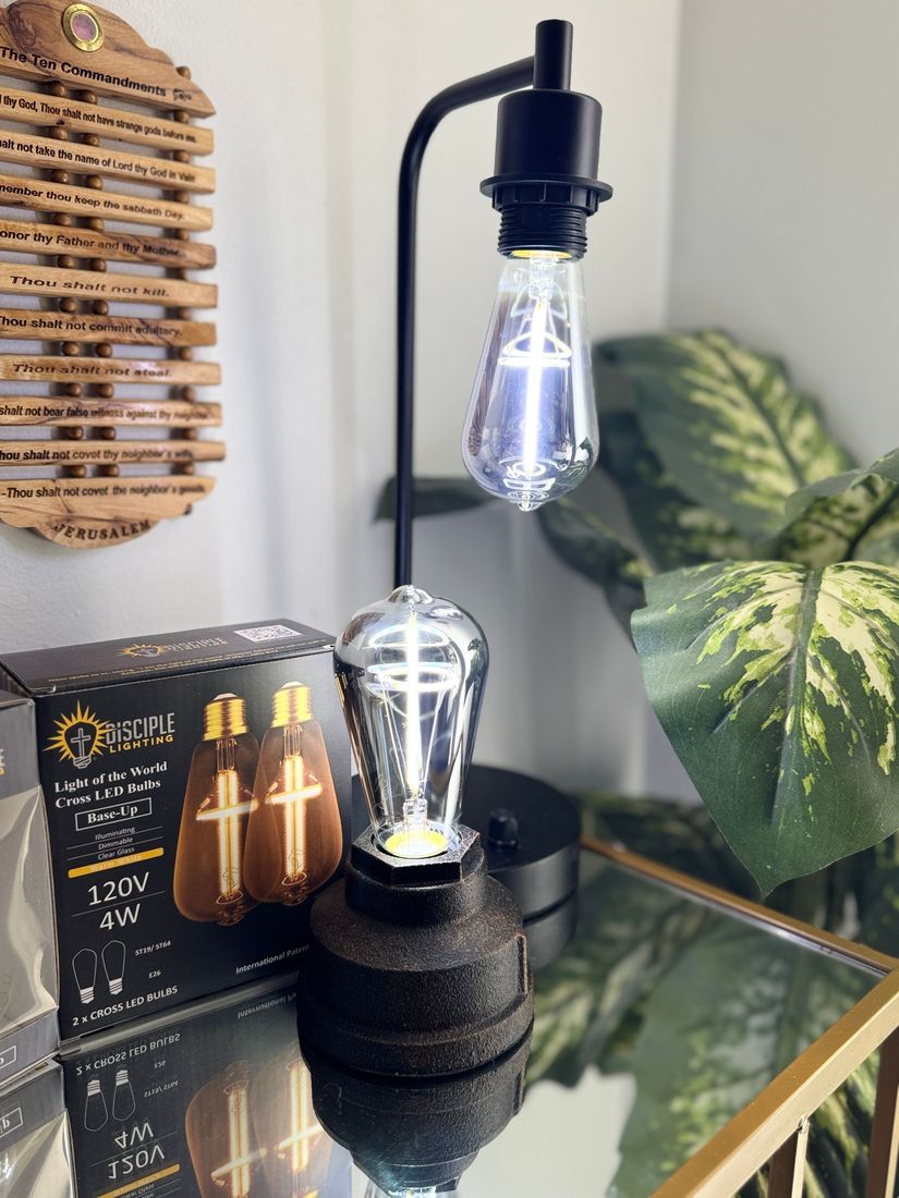 Black industrial lamp with Edison bulb on a glass table next to a box of bulbs and a plant.