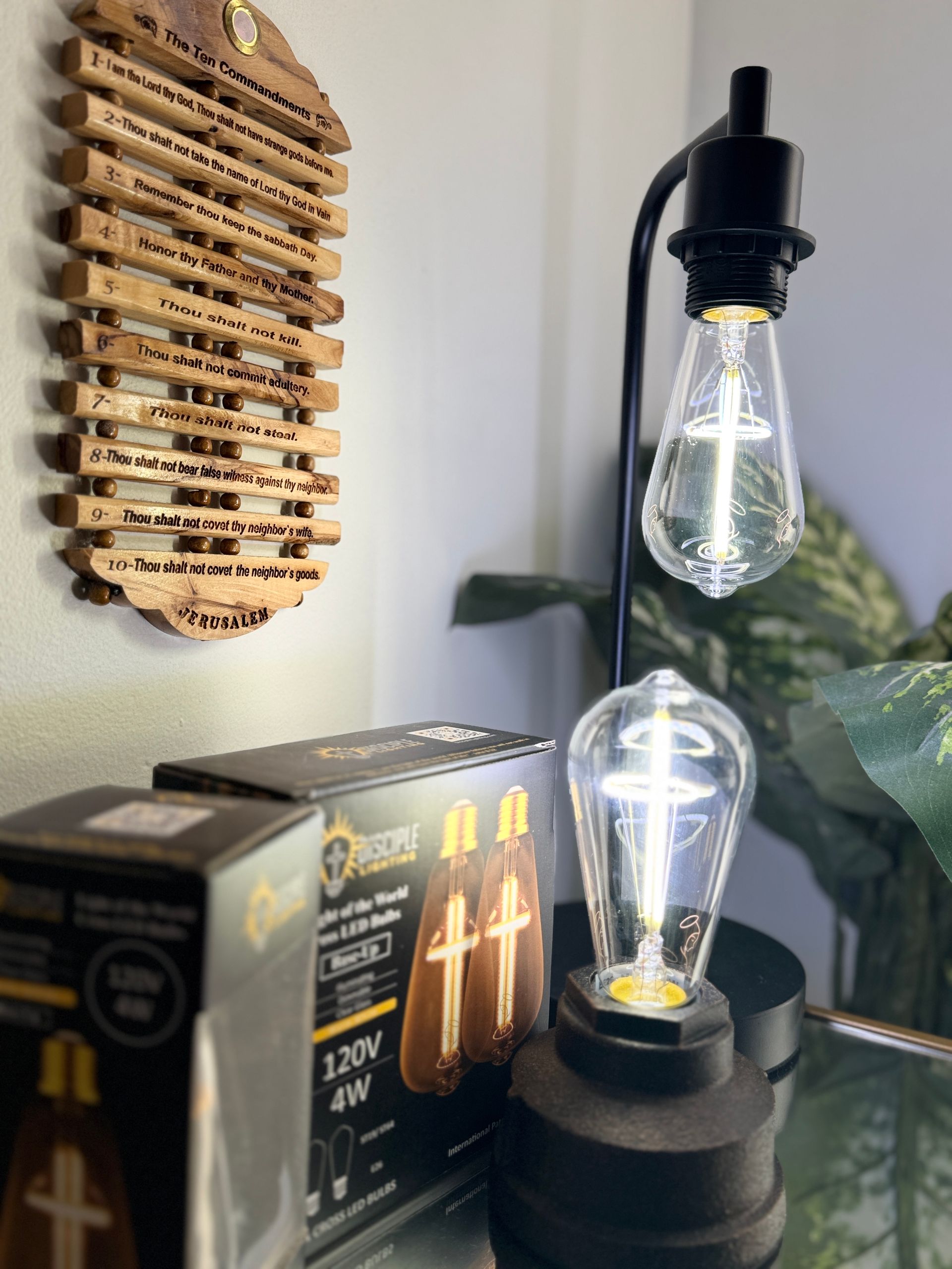 Black desk lamp with Edison bulb and extra bulb box, on a desk by a plant.