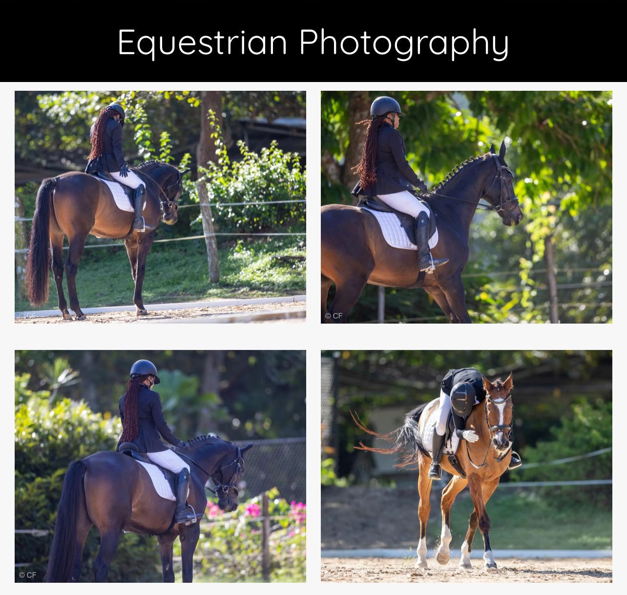 Equestrian photography collage: Rider on horse. Various poses in outdoor setting. Sunlight.