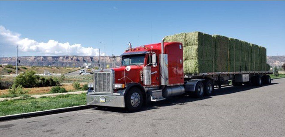 Red semi-truck hauling hay bales on a flatbed trailer, parked on asphalt with a mountain backdrop.