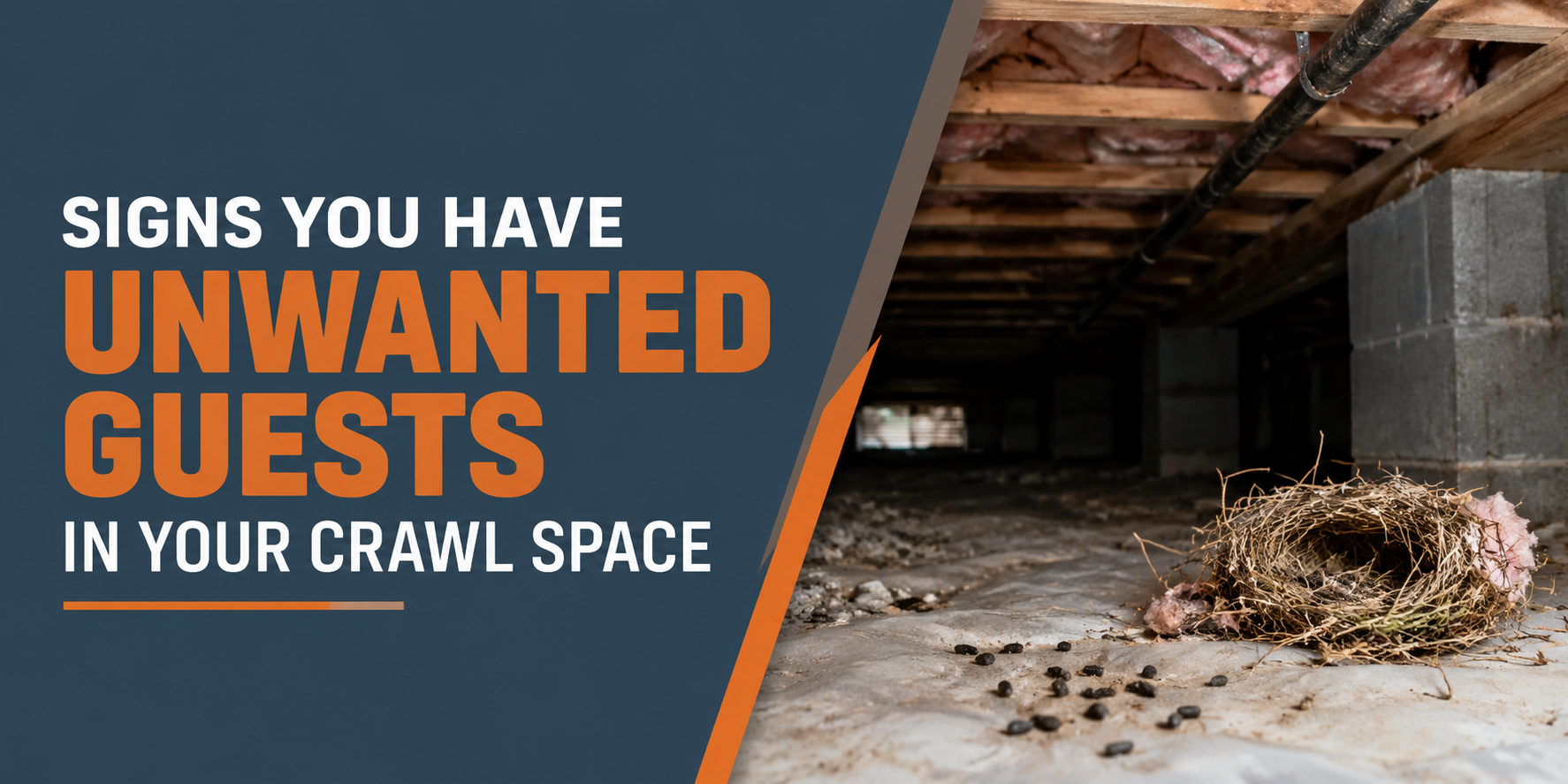 Text graphic about unwated guests in a crawl space, with orange and white lettering beside a dark crawlspace filled with debris.