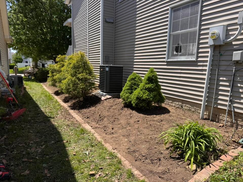 A side yard with a garden bed featuring two cone-shaped bushes and a small plant, bordering a house with beige siding.