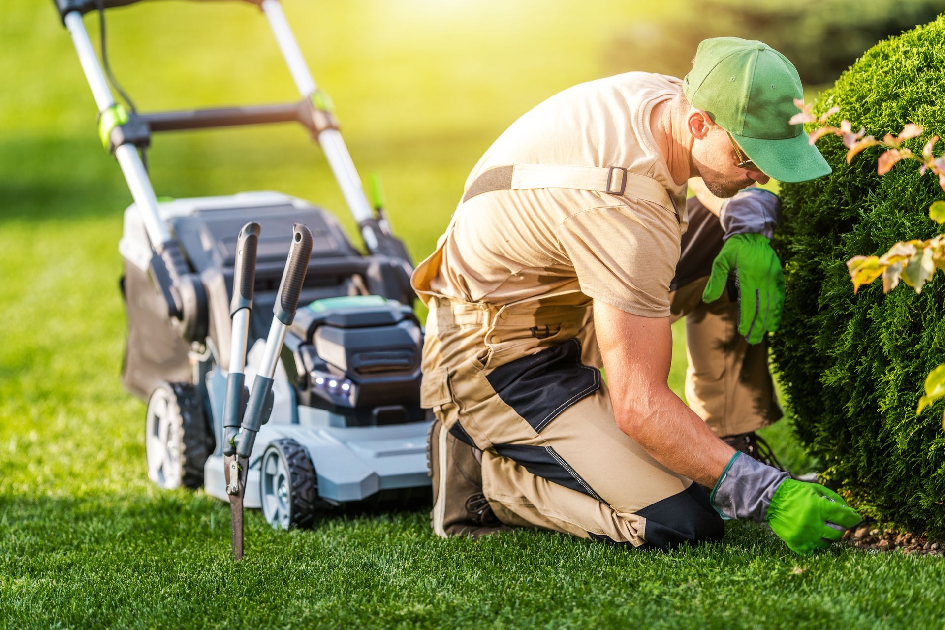 Man tending to a bush, kneeling on grass next to a lawnmower on a sunny day.