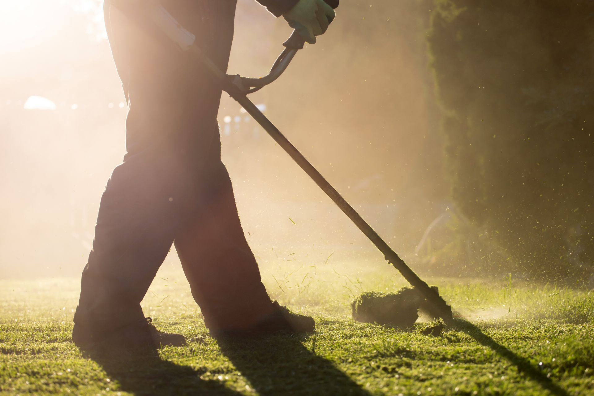 Person using a weed wacker on a grassy lawn; sunlit, creating a misty haze.