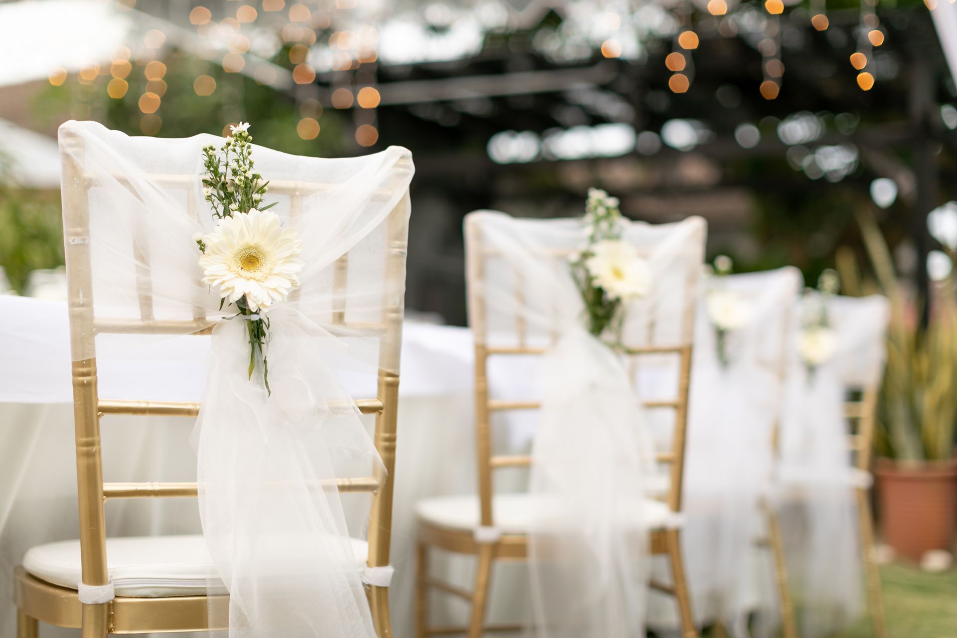 Chiavari Chairs