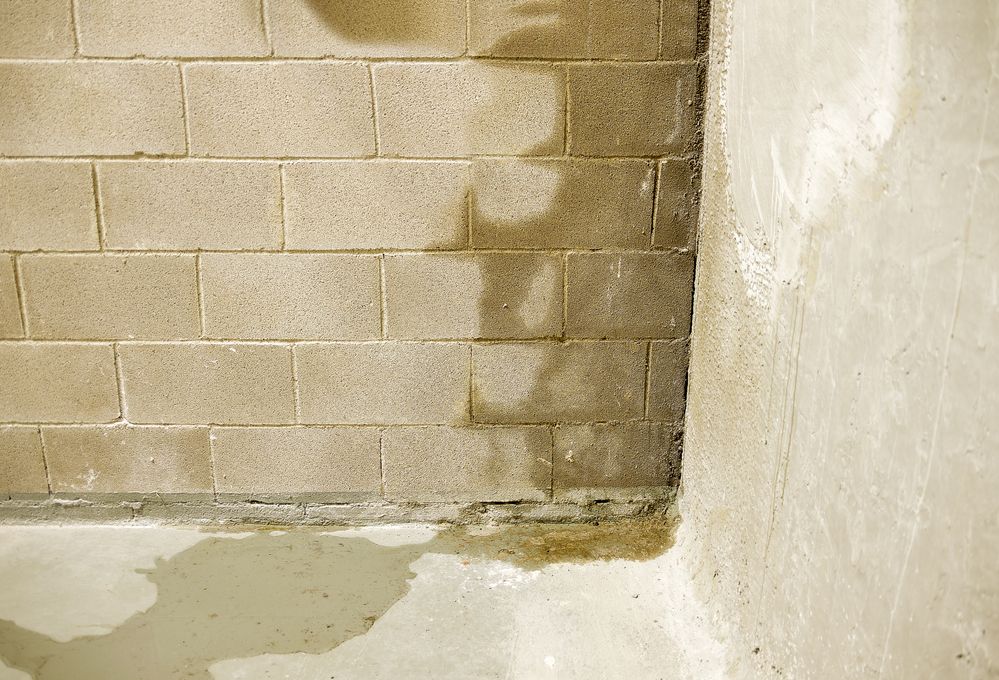 photo of damp basement wall