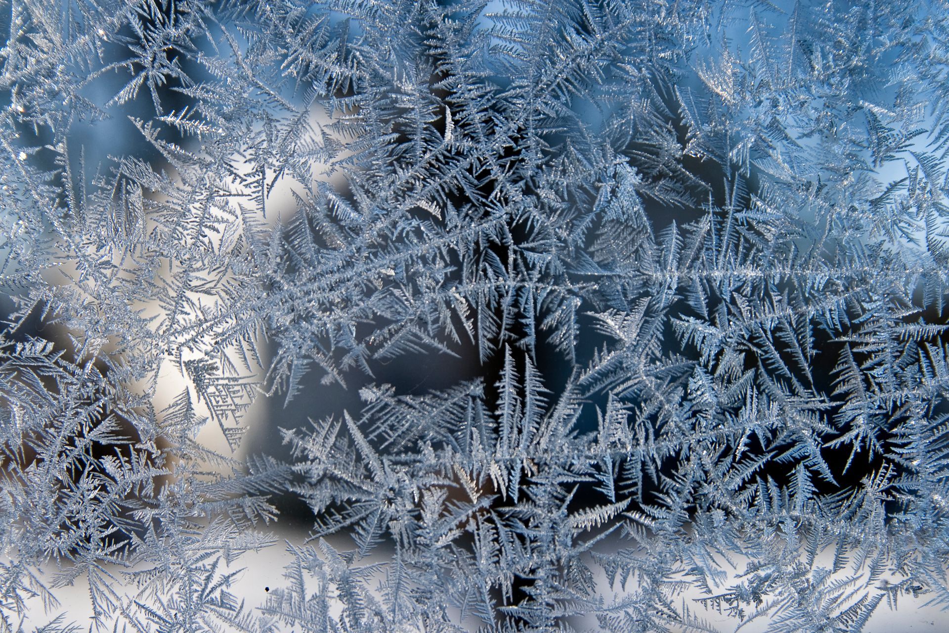 Frosty window