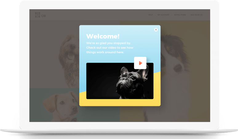 a laptop with a picture of a cat on the screen .