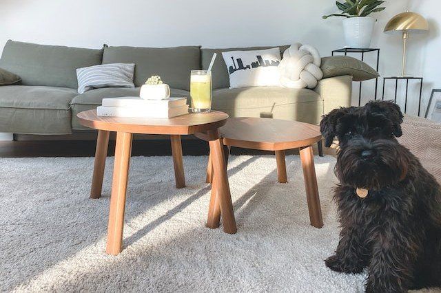 Carpet Flooring Services in Las Vegas