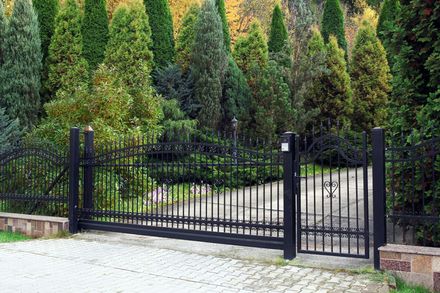 Black metal driveway gate in front of tall evergreen shrubs and a paved path