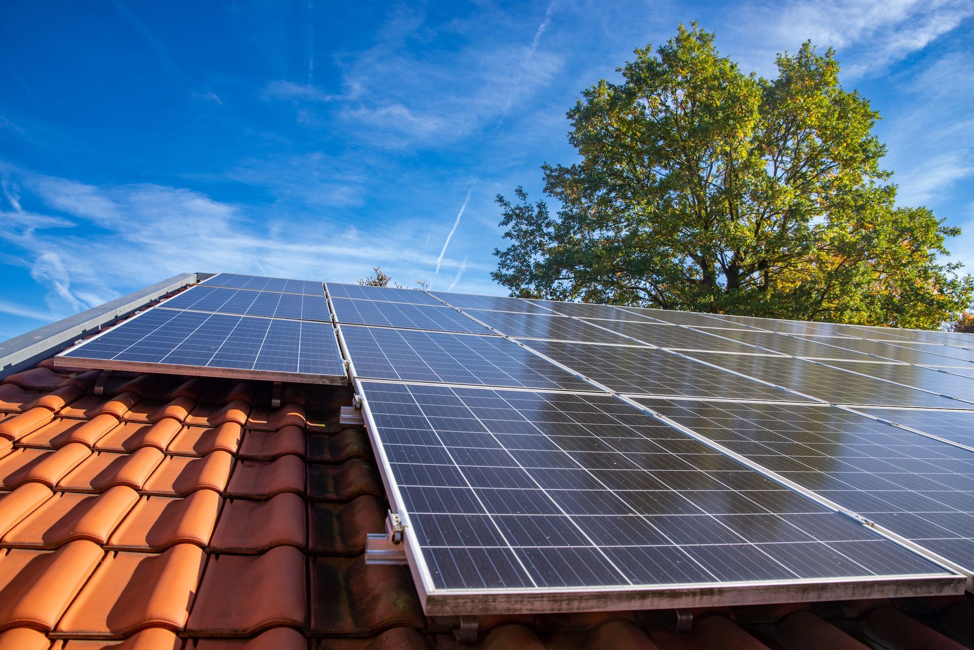 Solar panels on a terracotta roof under a blue sky beside a green tree.