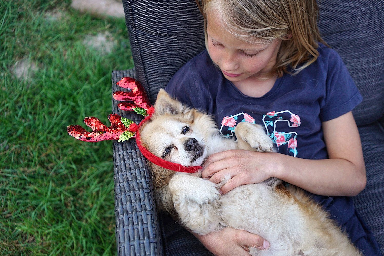 King Dusty - grrr :)