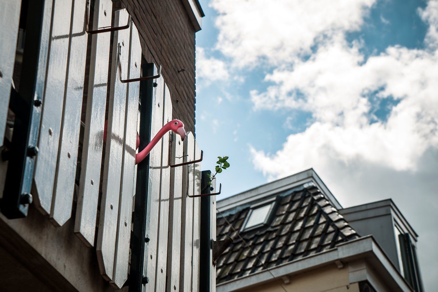 Flamingo Flagpole :)