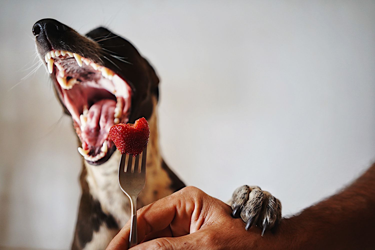 Seriously?! - Strawberries :)