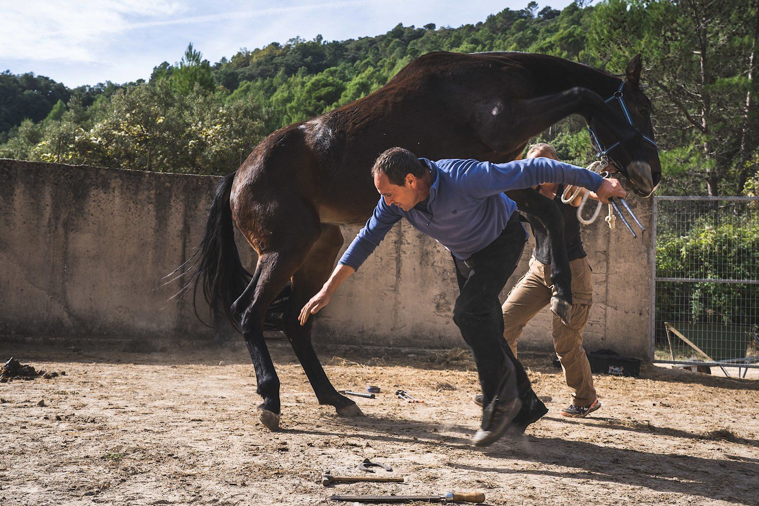 Flamenco Horse Dance