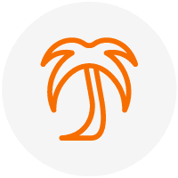 Palme Symbol