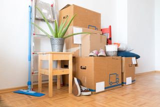 A room filled with cardboard boxes and a mop.