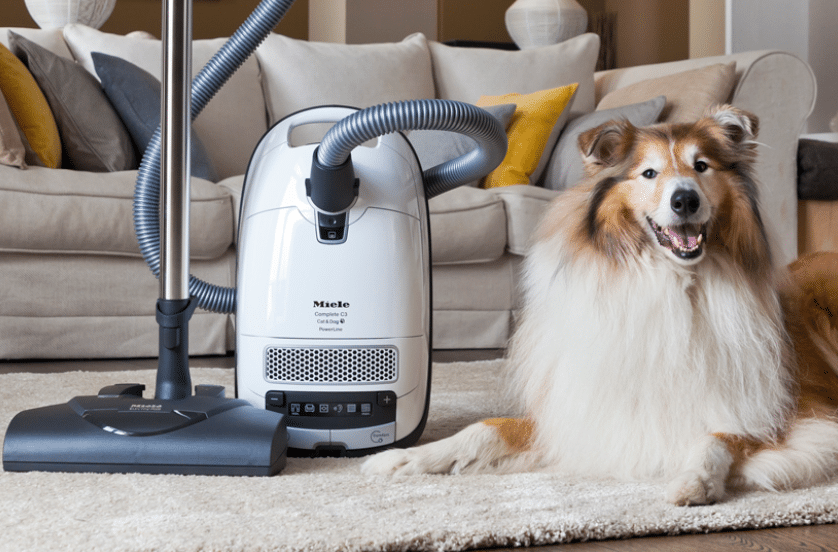 Vacuums  Sewing Machines — Orange County, California — Capistrano Vacuum &  Sewing Center, aspiradora para perro