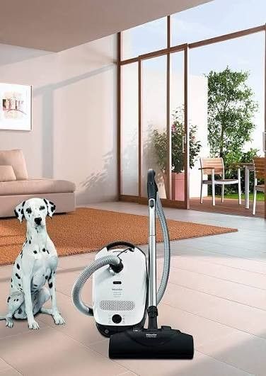 Dalmatian sits near a white vacuum cleaner on a wooden floor in a modern living room with a garden view.