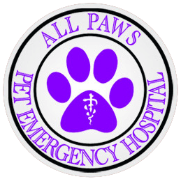 All Paws Pet Emergency Hospital 